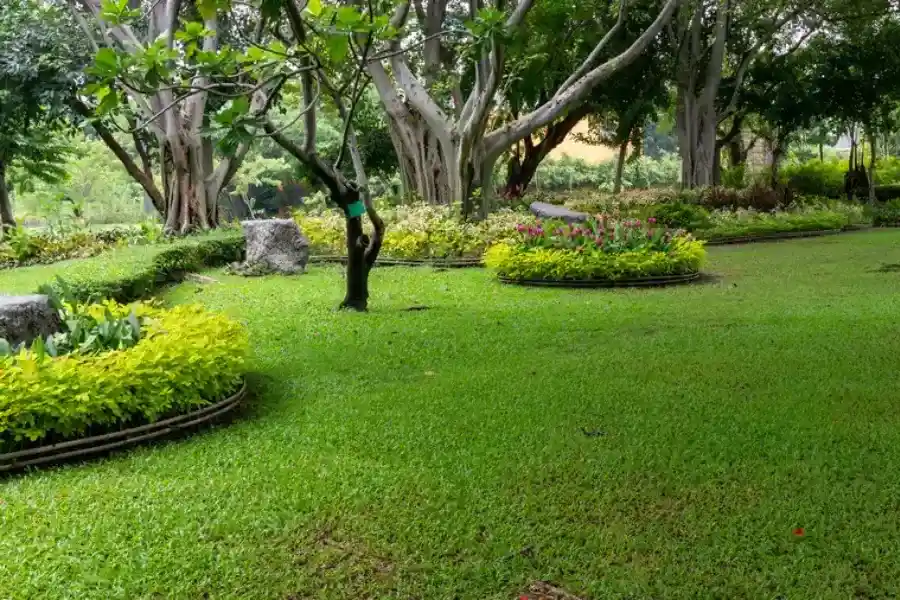 Experienced Landscape Maintenance in Bellevue, WA