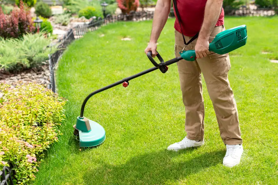 Reliable Lawn Care in Bellevue, WA