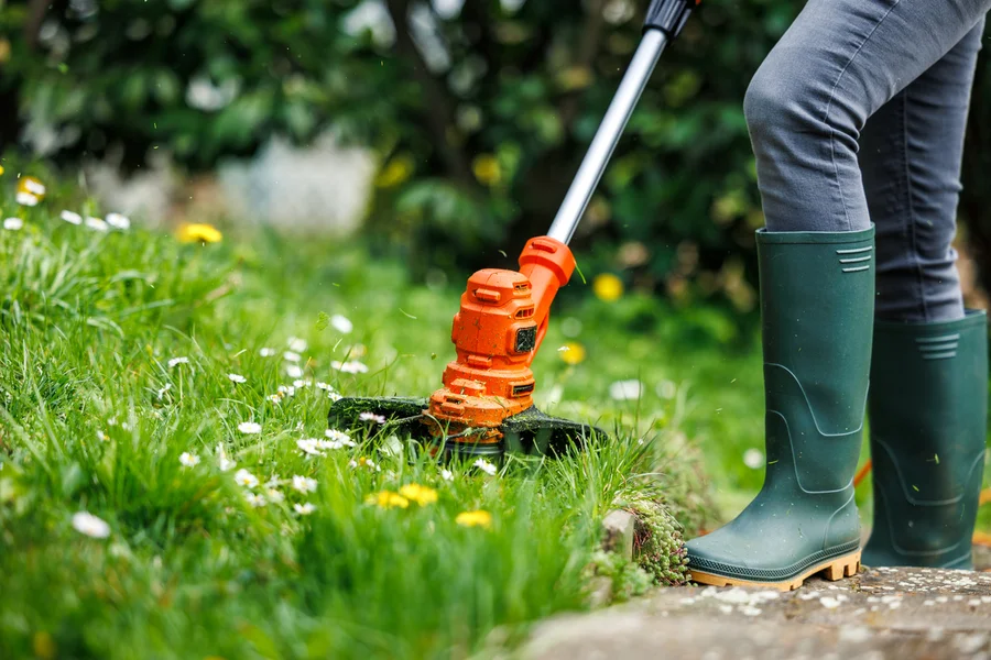 Reputable Lawn Care in Bellevue, WA