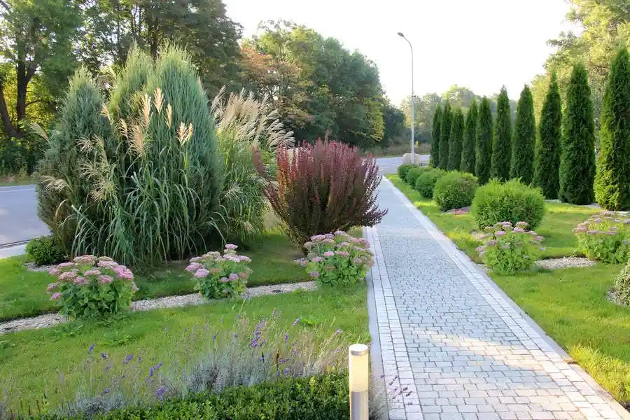 Superior Landscape Maintenance in Bellevue, WA