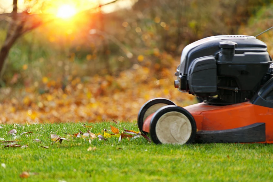 The Importance Of Aeration In Professional Lawn Care in Bellevue, WA