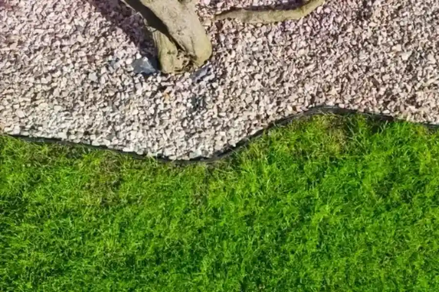 The Importance Of Proper Lawn Edging For Yard Maintenance in Bellevue, WA