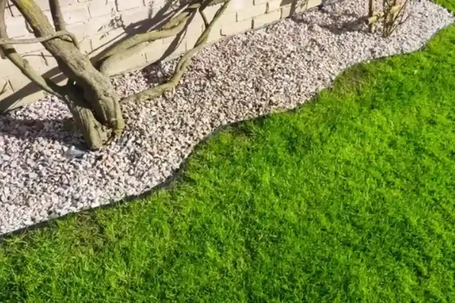 The Importance Of Proper Lawn Edging For Yard Maintenance in Bellevue, WA