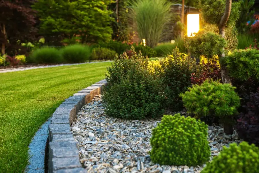 Why Landscape Maintenance Is Crucial For Seasonal Transitions in Bellevue, WA