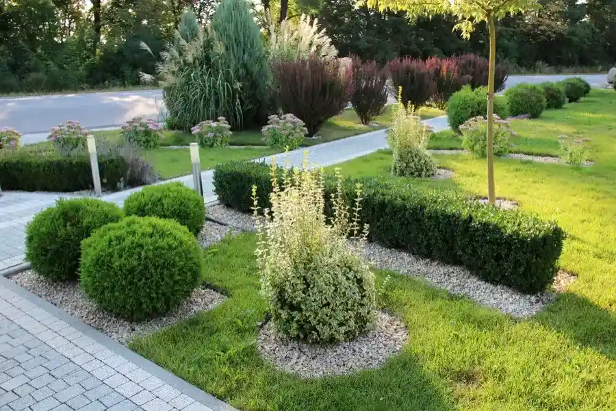 Why Landscape Maintenance Is Crucial For Seasonal Transitions in Bellevue, WA